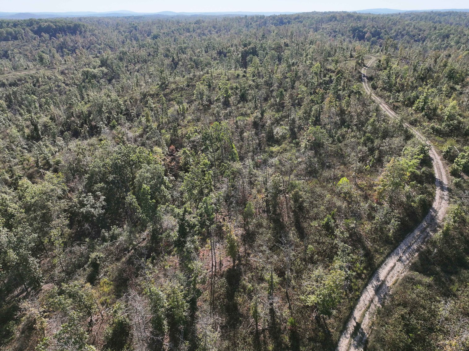 Image for 117.8 Acres +/-, Off Hwy F, Annapolis MO 63620, MLS # 25070582