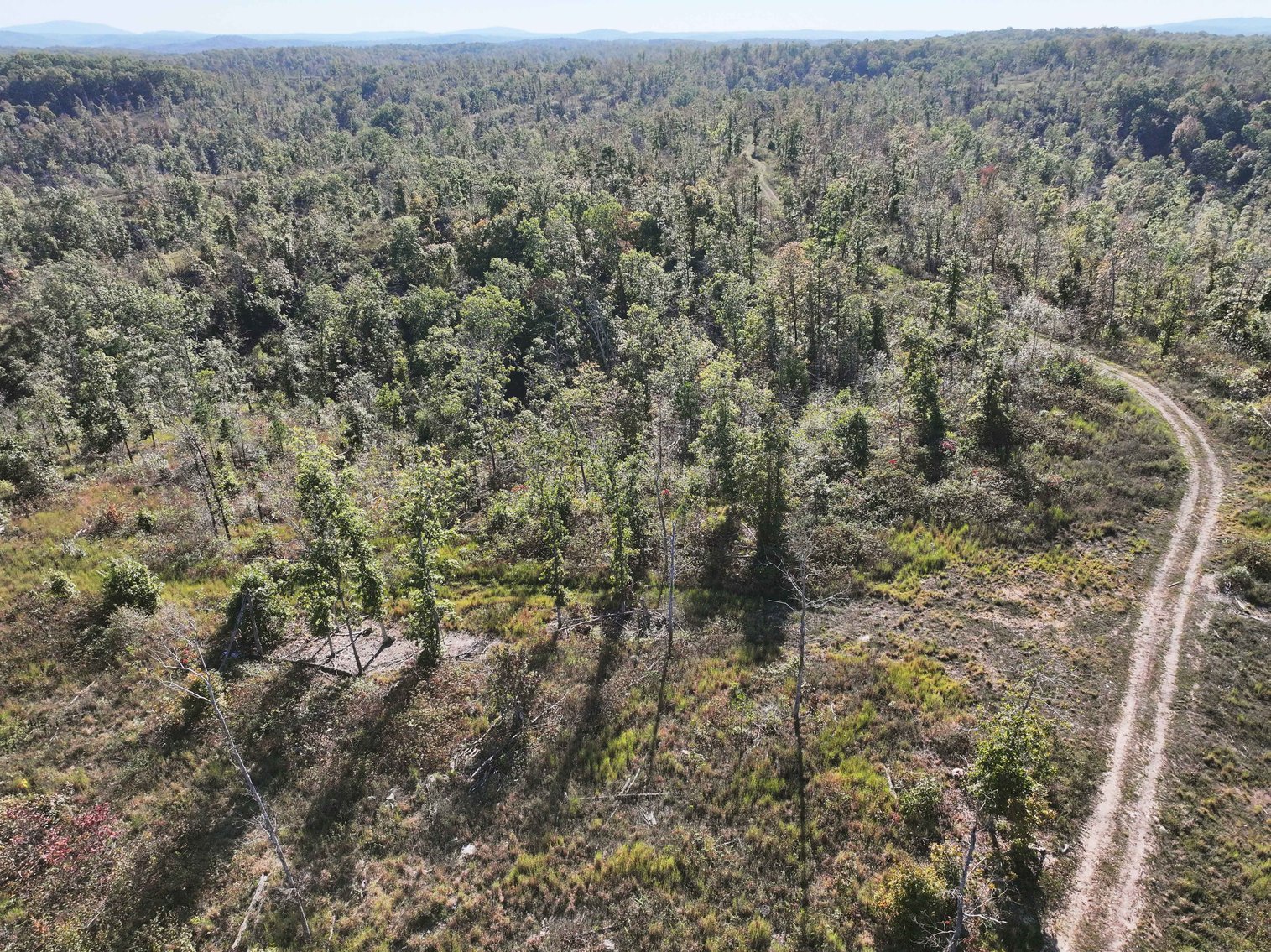 Image for 117.8 Acres +/-, Off Hwy F, Annapolis MO 63620, MLS # 25070582