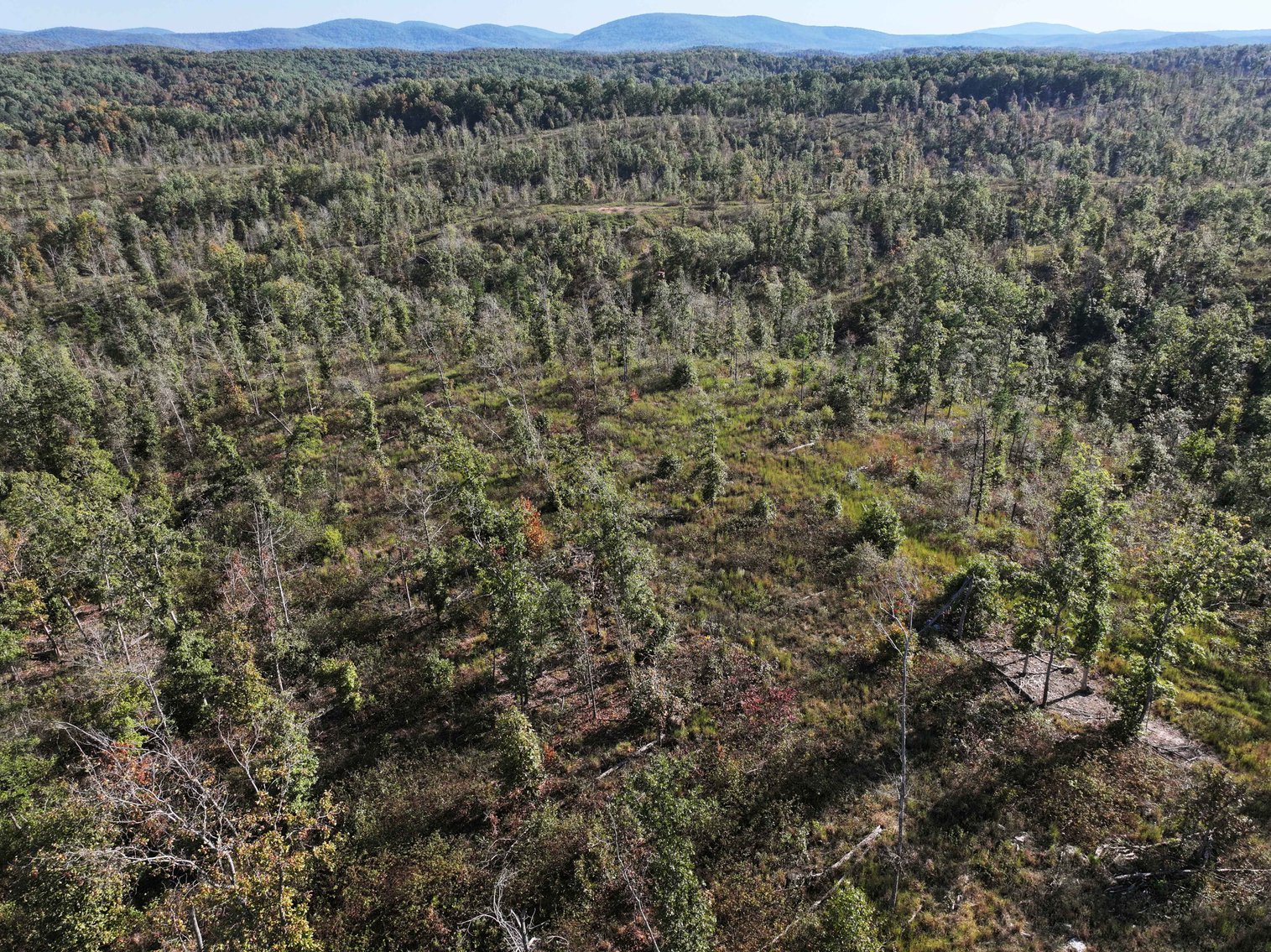 Image for 117.8 Acres +/-, Off Hwy F, Annapolis MO 63620, MLS # 25070582