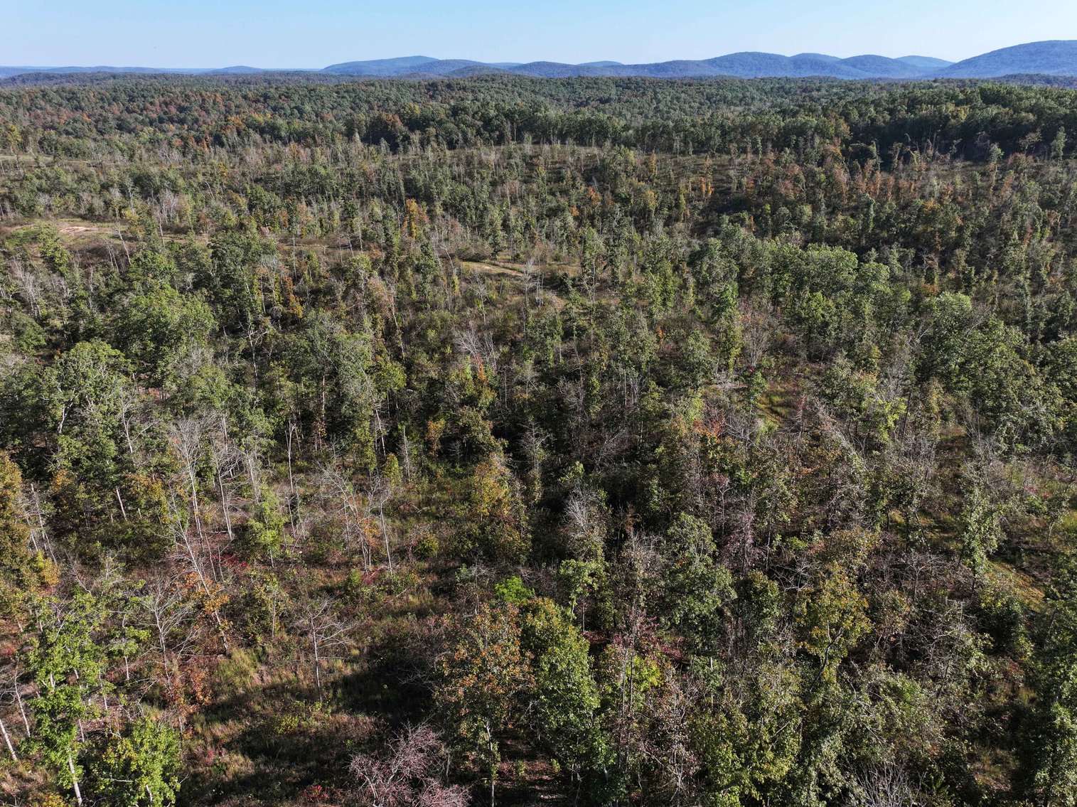 Image for 117.8 Acres +/-, Off Hwy F, Annapolis MO 63620, MLS # 25070582