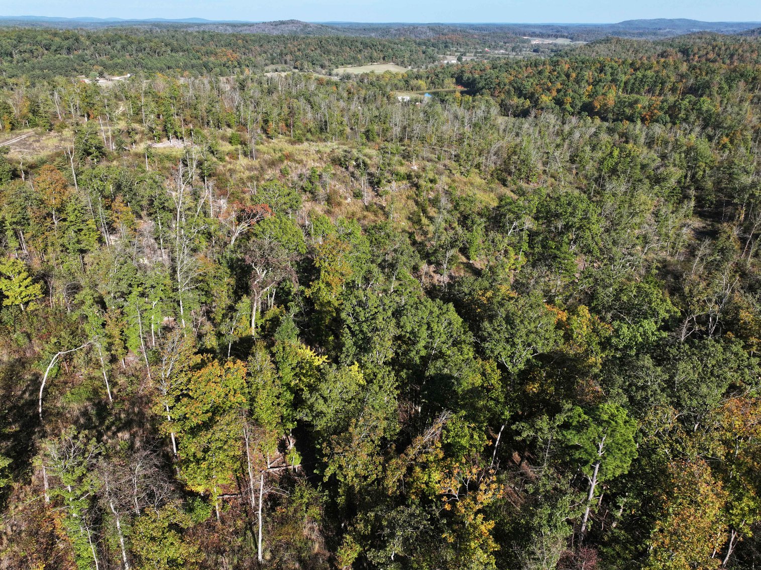 Image for 117.8 Acres +/-, Off Hwy F, Annapolis MO 63620, MLS # 25070582