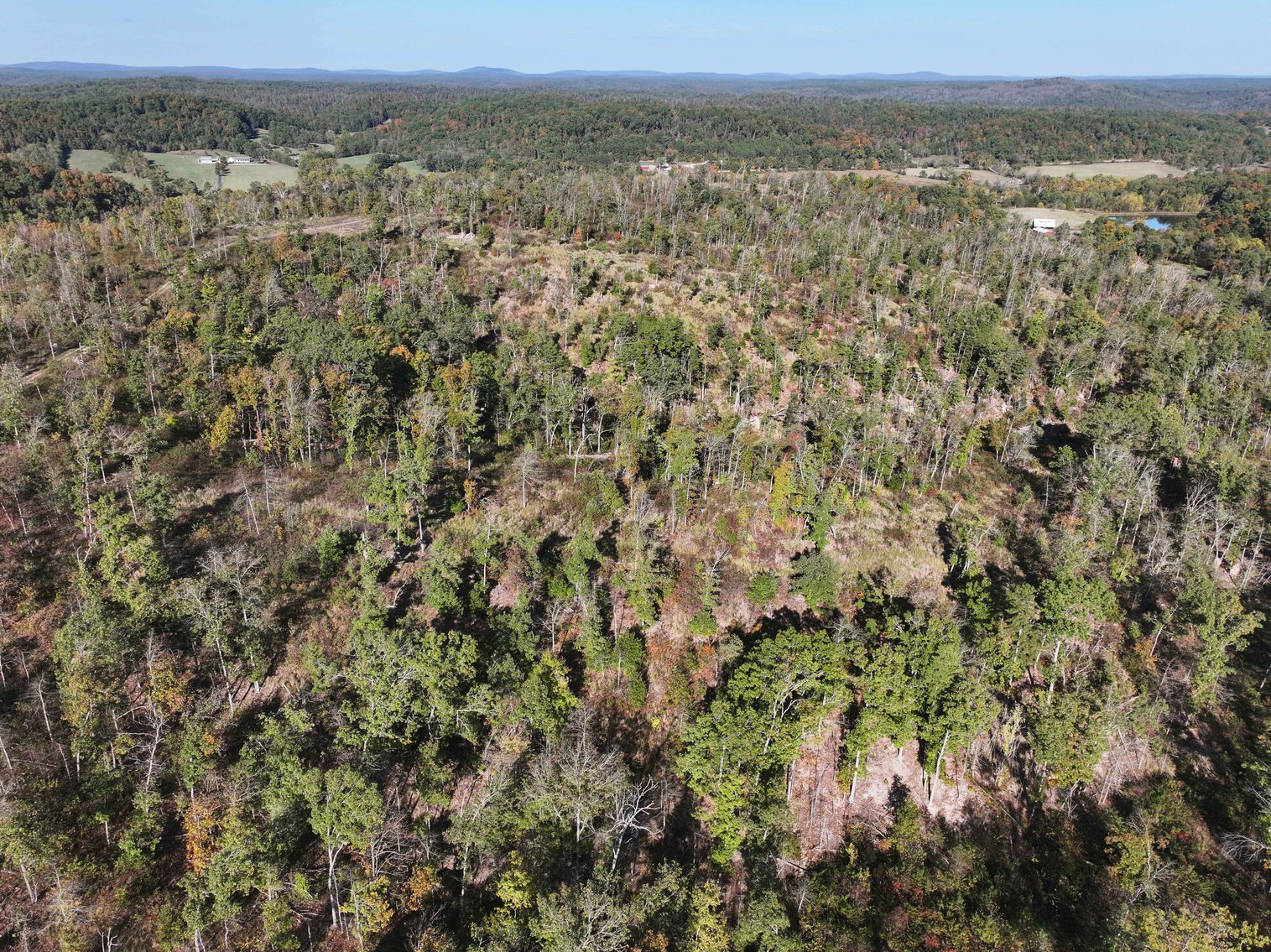 Image for 117.8 Acres +/-, Off Hwy F, Annapolis MO 63620, MLS # 25070582