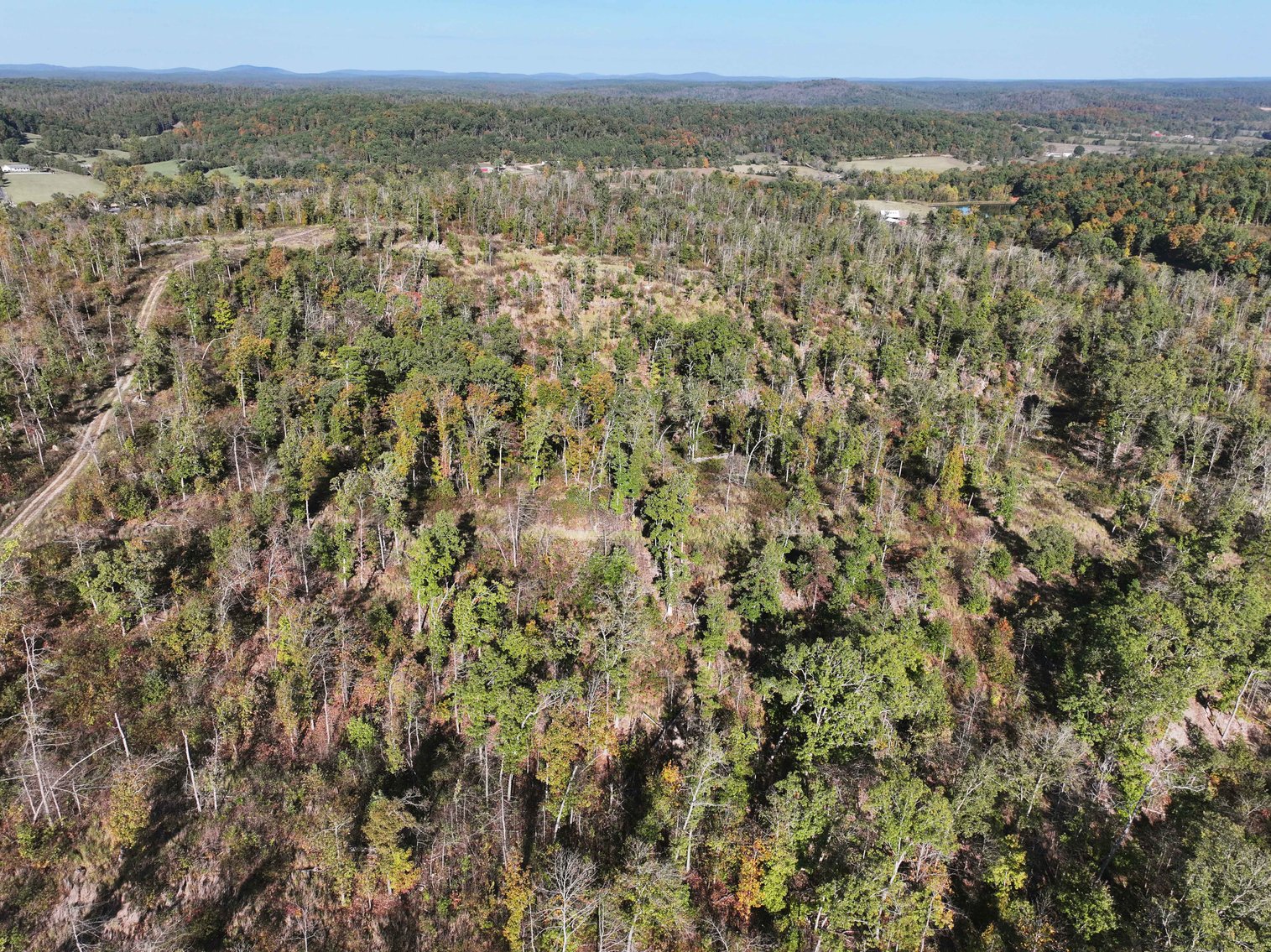 Image for 117.8 Acres +/-, Off Hwy F, Annapolis MO 63620, MLS # 25070582