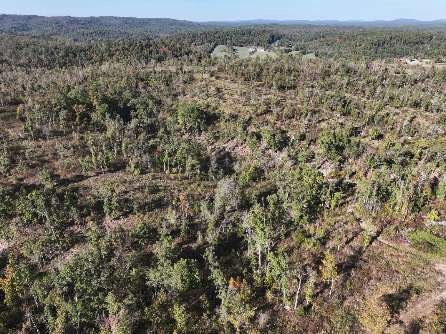 Image for 117.8 Acres +/-, Off Hwy F, Annapolis MO 63620, MLS # 25070582