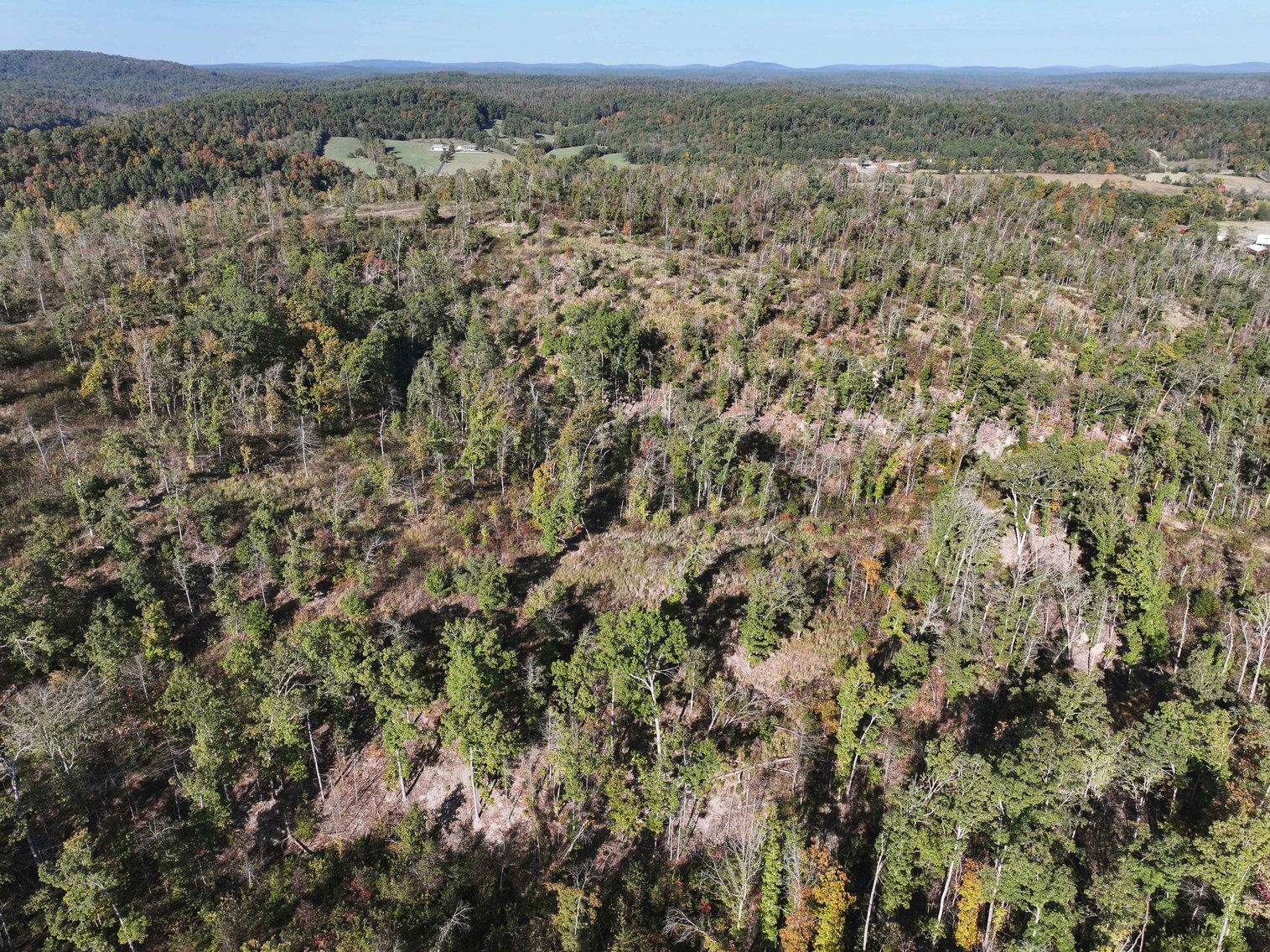 Image for 117.8 Acres +/-, Off Hwy F, Annapolis MO 63620, MLS # 25070582