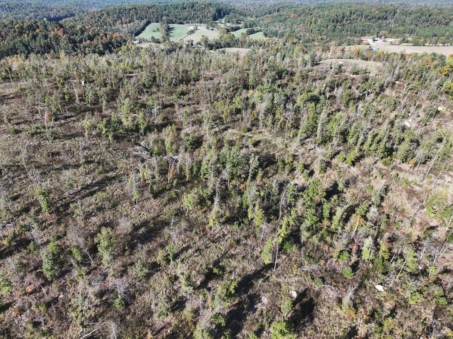 Image for 117.8 Acres +/-, Off Hwy F, Annapolis MO 63620, MLS # 25070582