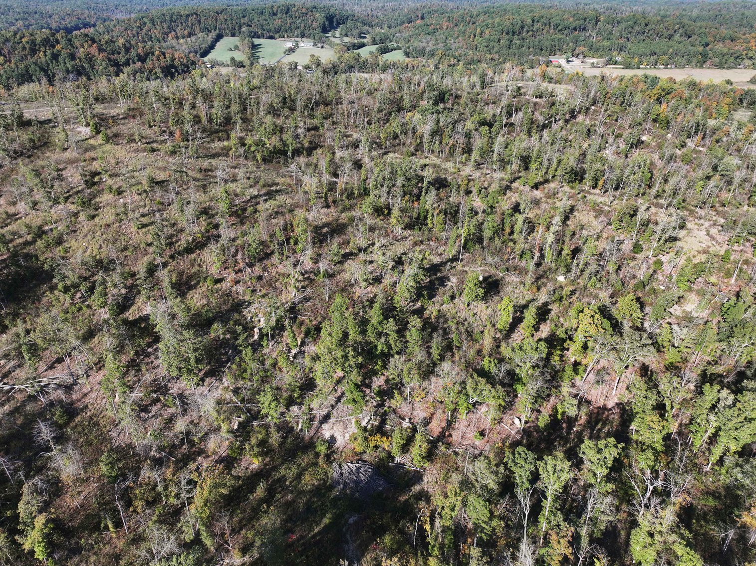 Image for 117.8 Acres +/-, Off Hwy F, Annapolis MO 63620, MLS # 25070582