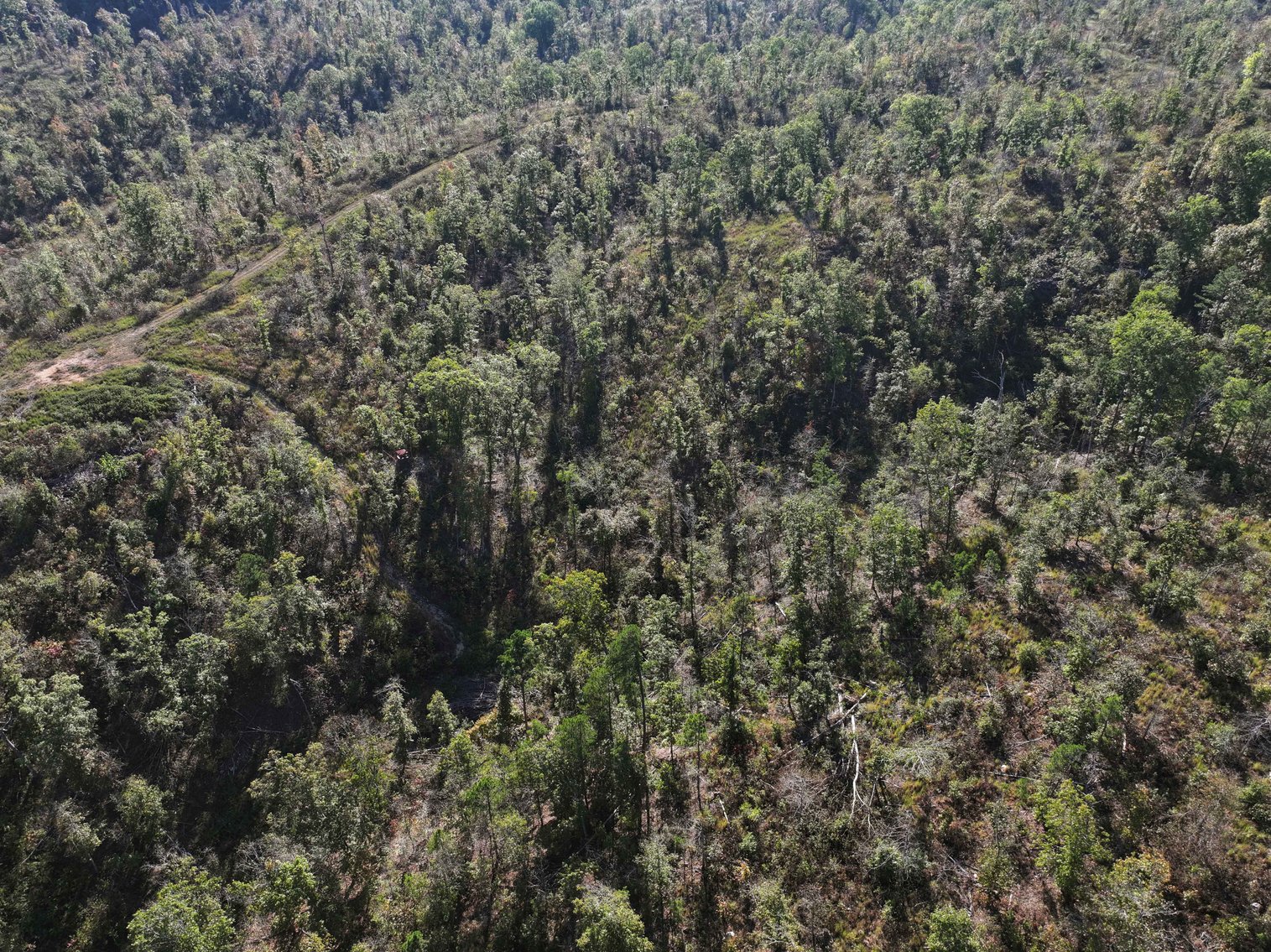 Image for 117.8 Acres +/-, Off Hwy F, Annapolis MO 63620, MLS # 25070582