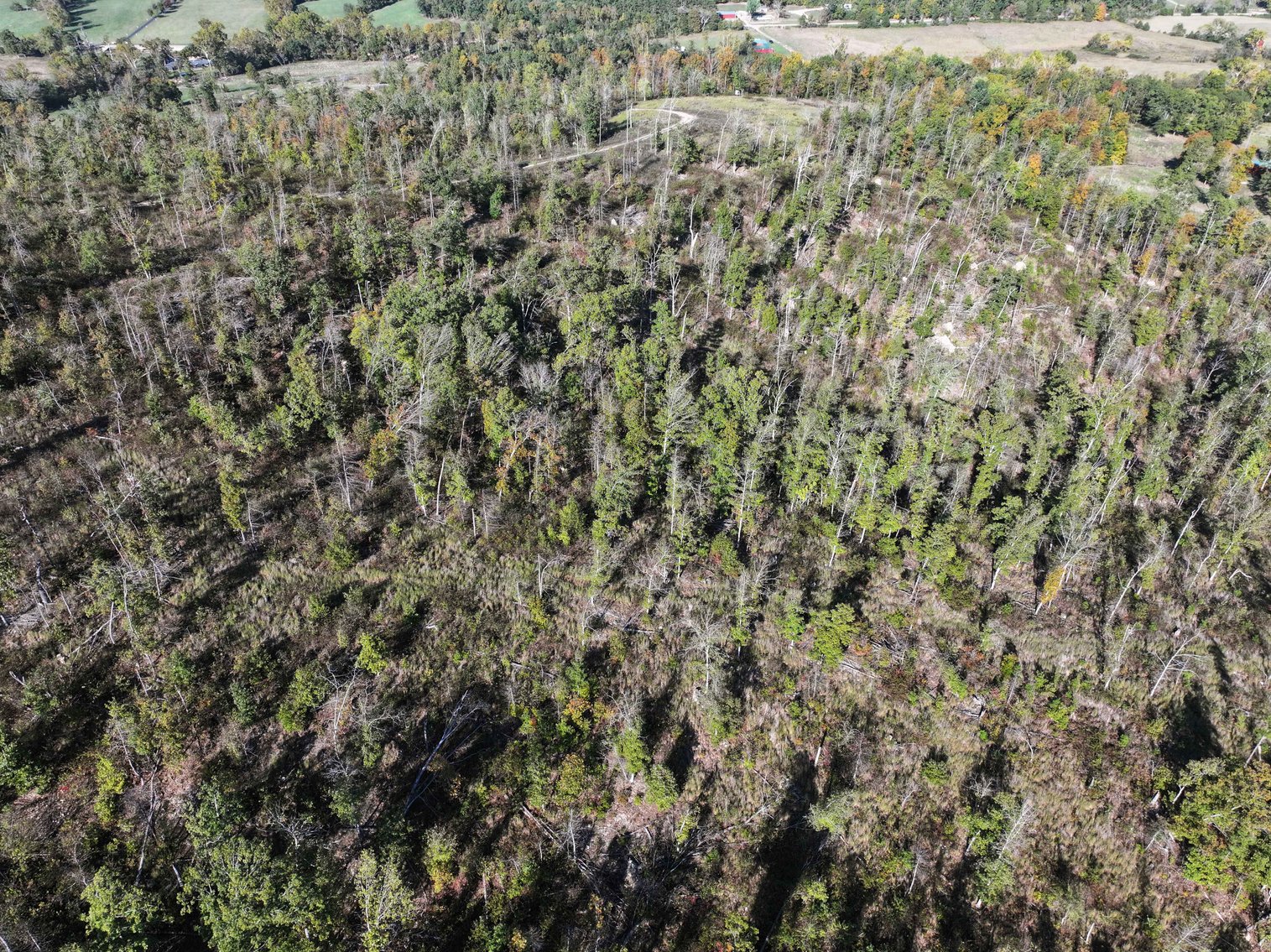 Image for 117.8 Acres +/-, Off Hwy F, Annapolis MO 63620, MLS # 25070582