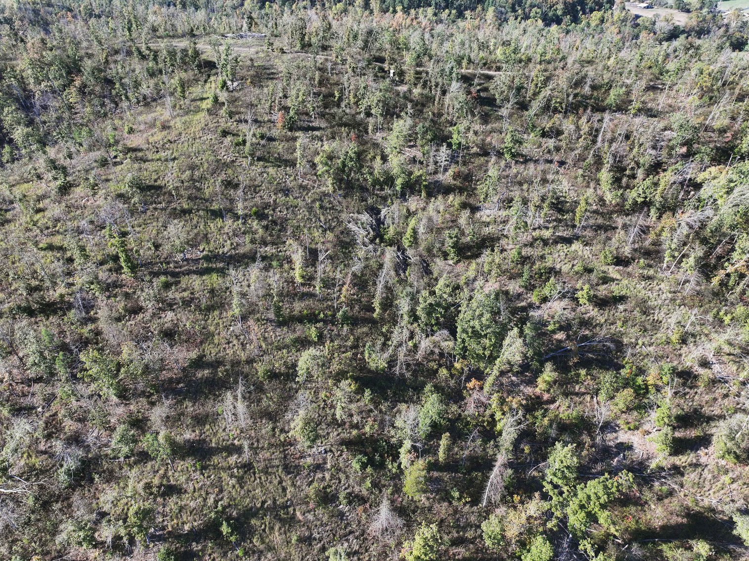 Image for 117.8 Acres +/-, Off Hwy F, Annapolis MO 63620, MLS # 25070582