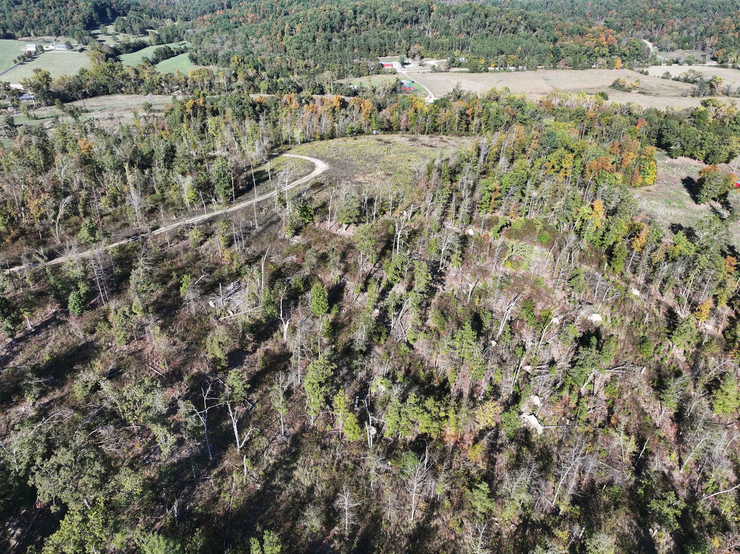 Image for 117.8 Acres +/-, Off Hwy F, Annapolis MO 63620, MLS # 25070582