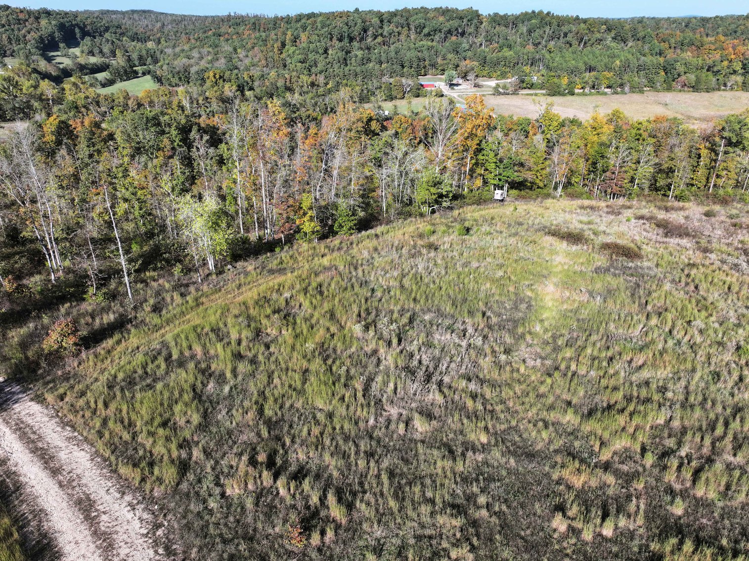 Image for 117.8 Acres +/-, Off Hwy F, Annapolis MO 63620, MLS # 25070582