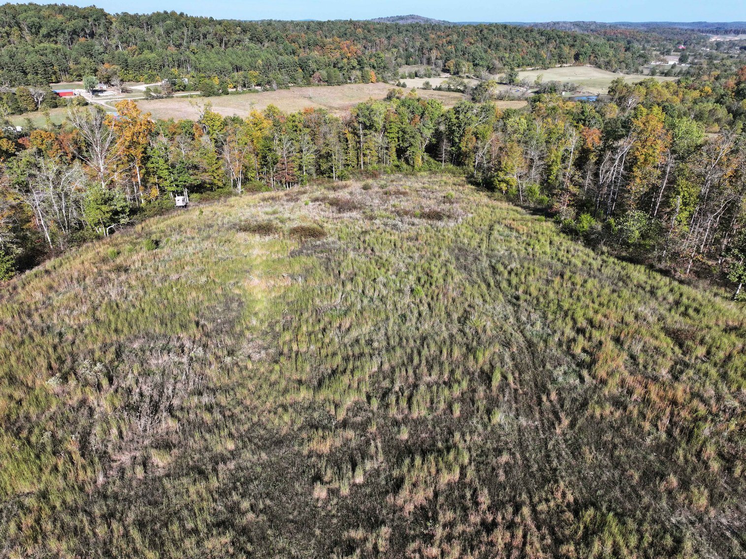 Image for 117.8 Acres +/-, Off Hwy F, Annapolis MO 63620, MLS # 25070582