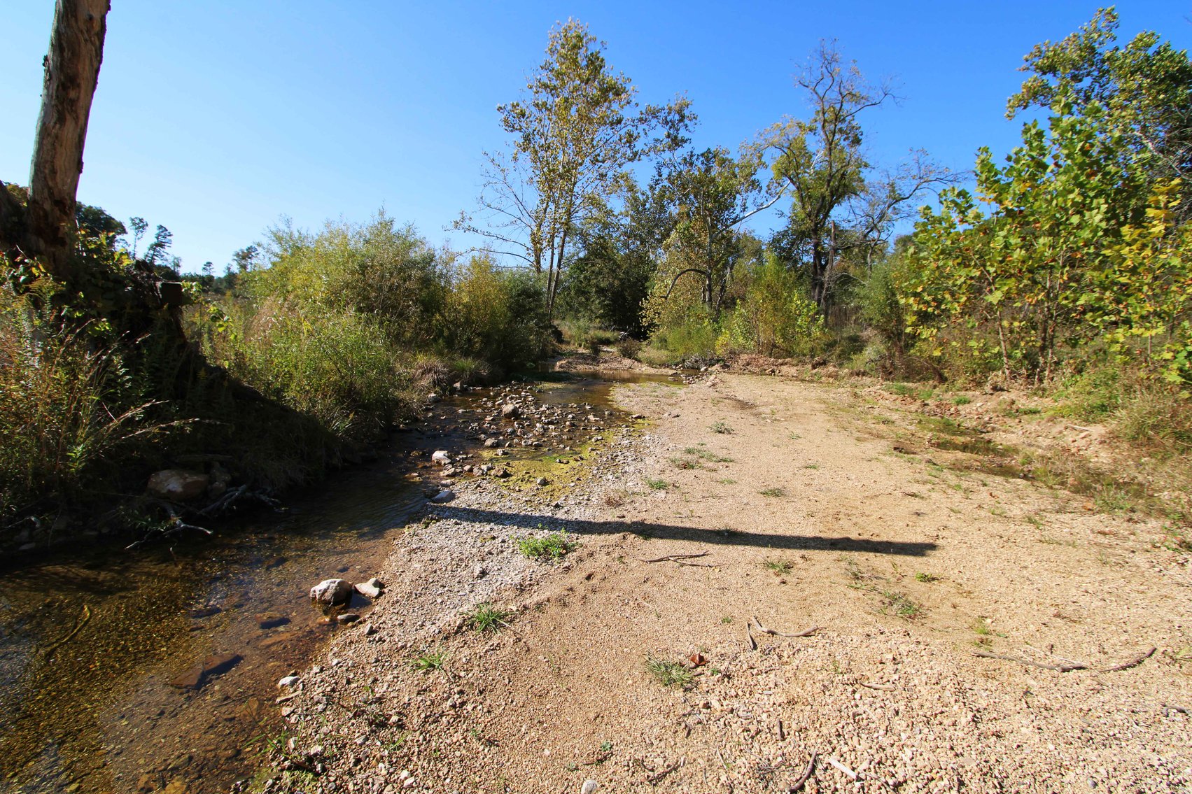 Image for 117.8 Acres +/-, Off Hwy F, Annapolis MO 63620, MLS # 25070582