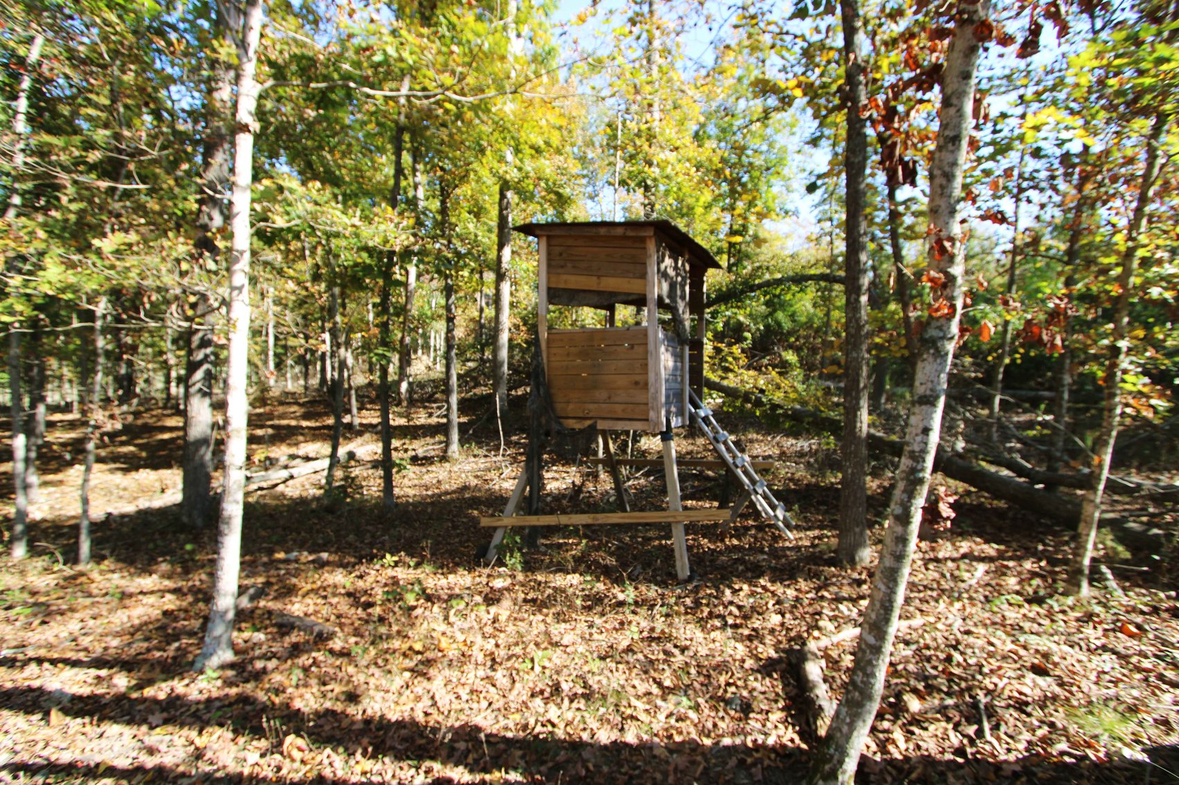 Image for 117.8 Acres +/-, Off Hwy F, Annapolis MO 63620, MLS # 25070582