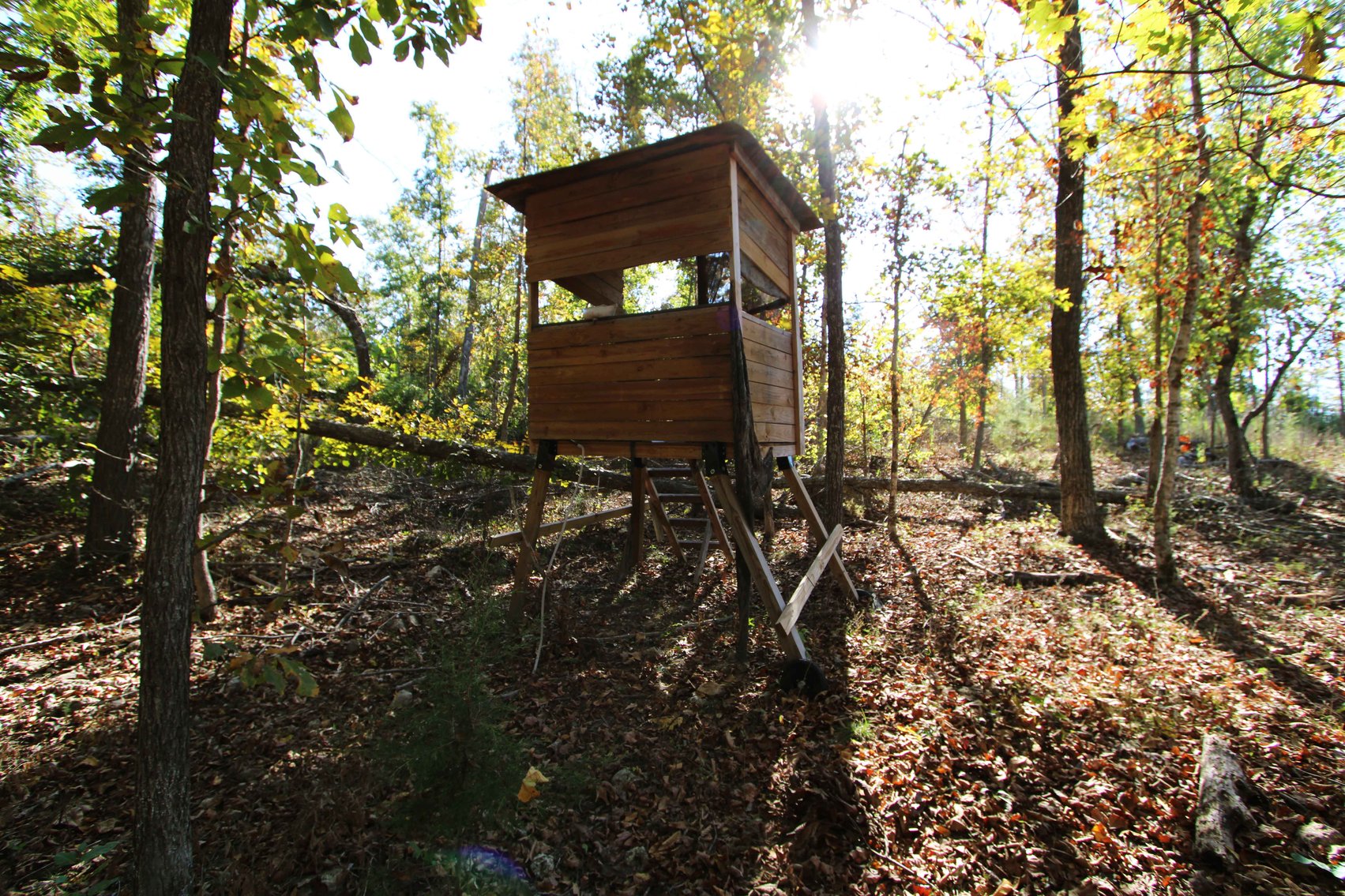 Image for 117.8 Acres +/-, Off Hwy F, Annapolis MO 63620, MLS # 25070582