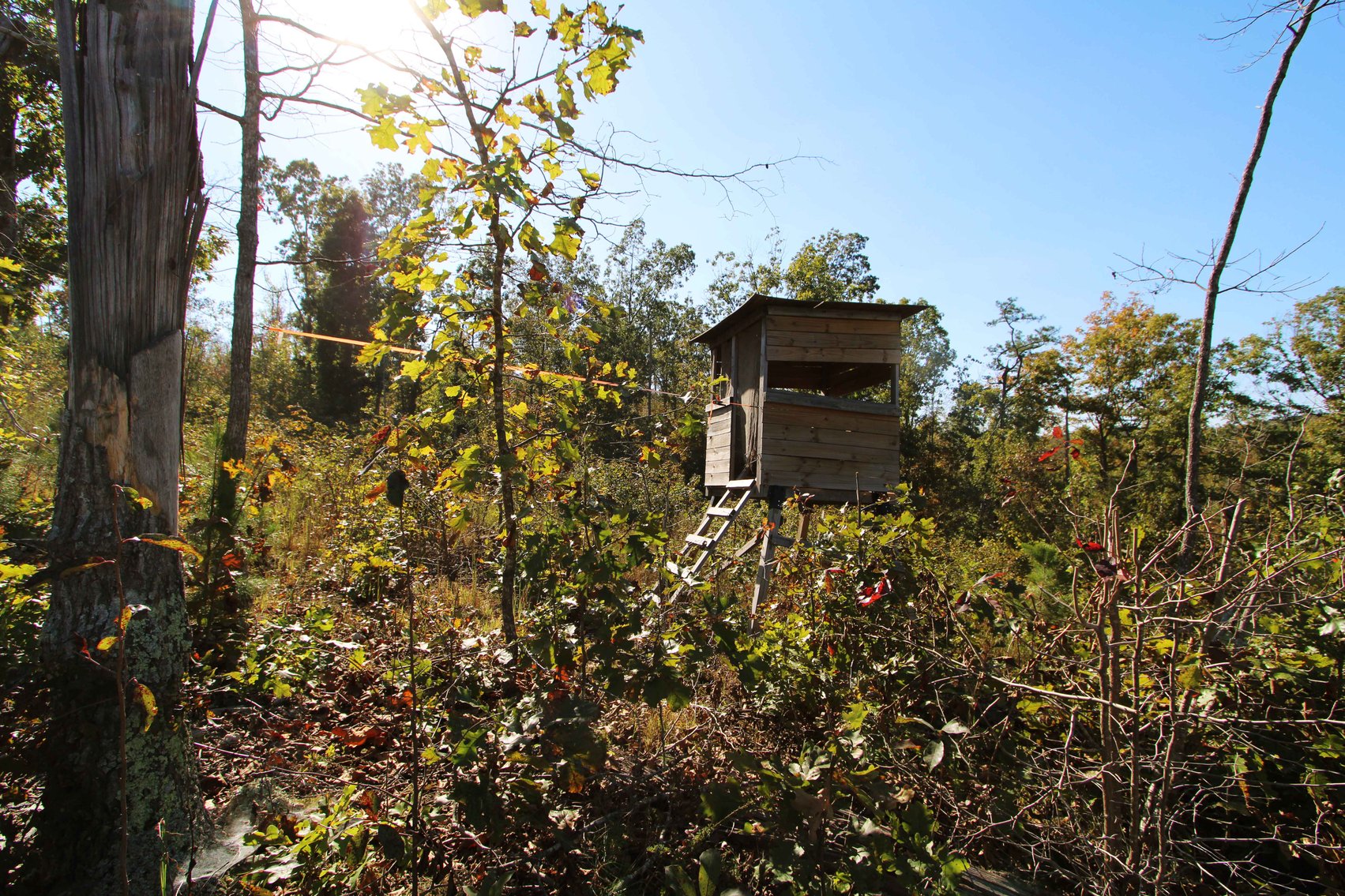 Image for 117.8 Acres +/-, Off Hwy F, Annapolis MO 63620, MLS # 25070582