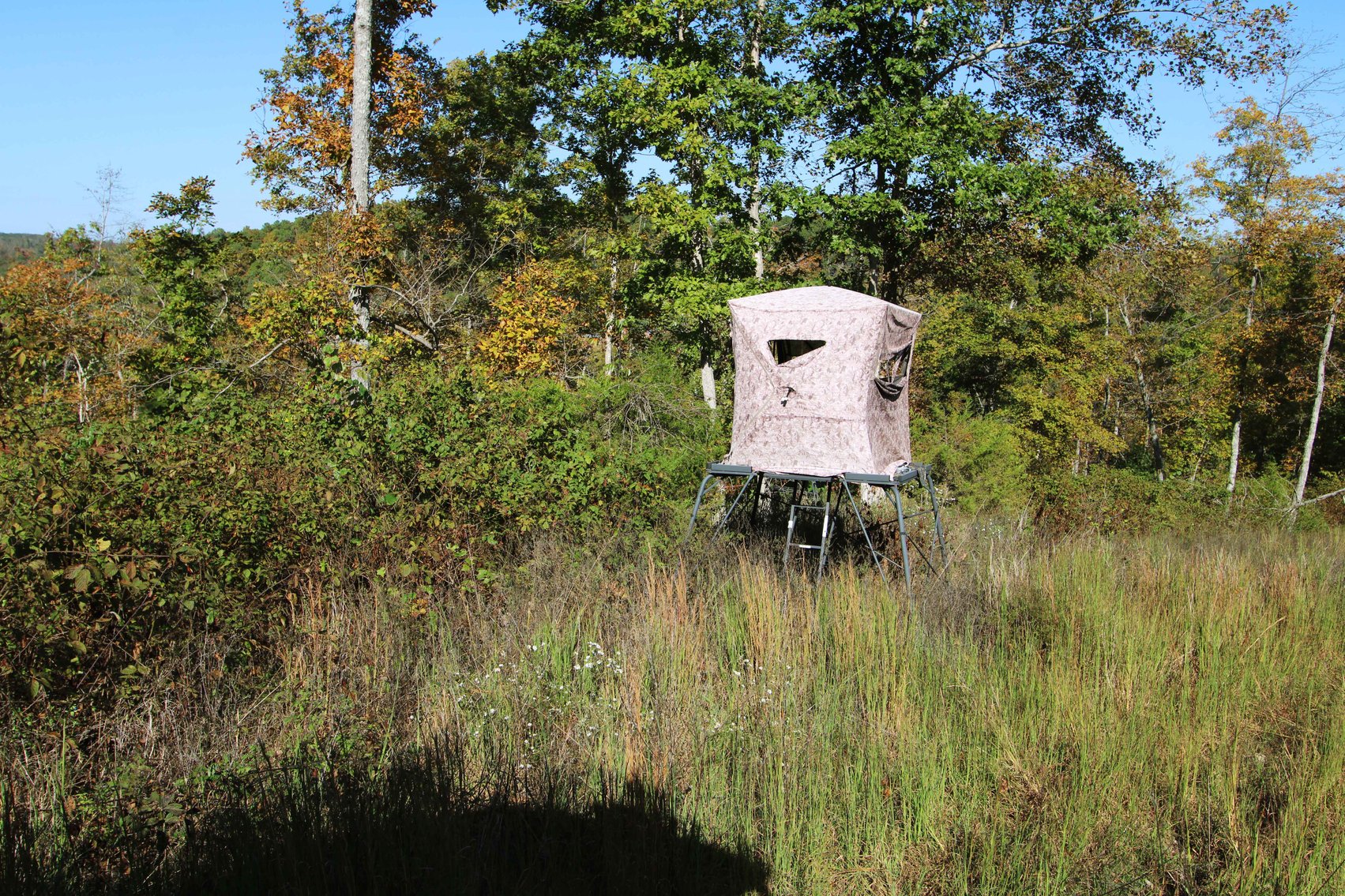 Image for 117.8 Acres +/-, Off Hwy F, Annapolis MO 63620, MLS # 25070582