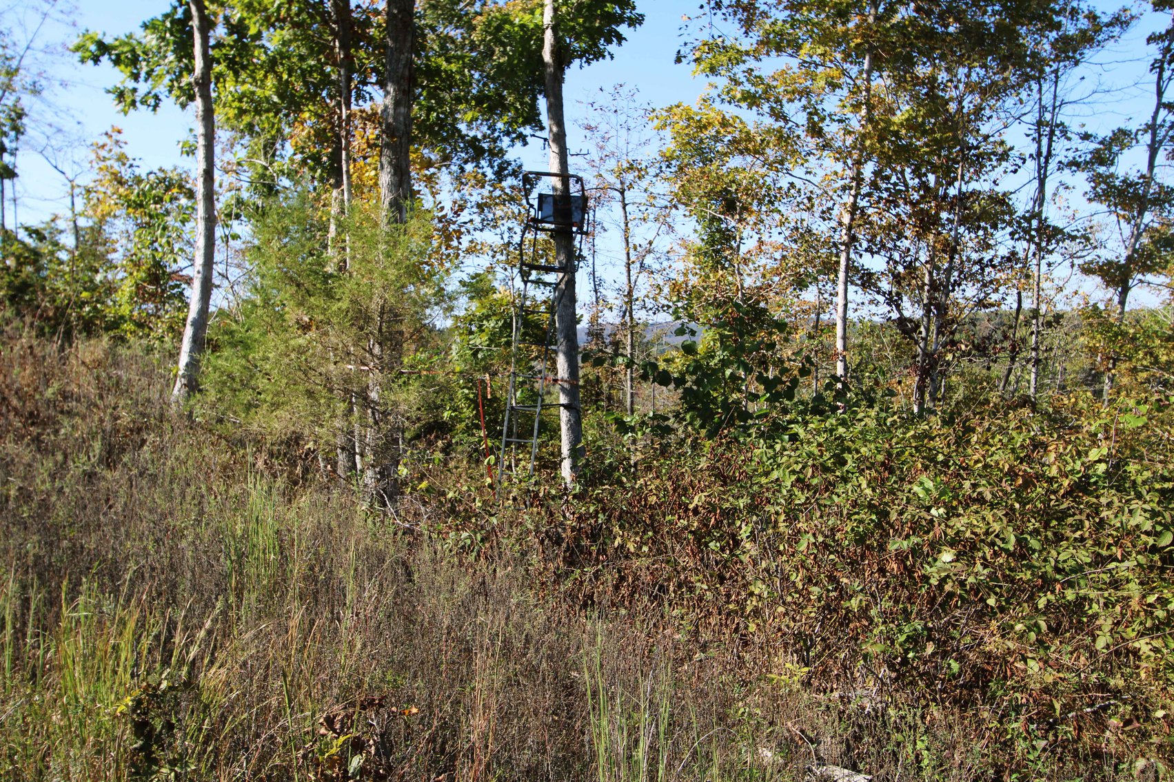 Image for 117.8 Acres +/-, Off Hwy F, Annapolis MO 63620, MLS # 25070582