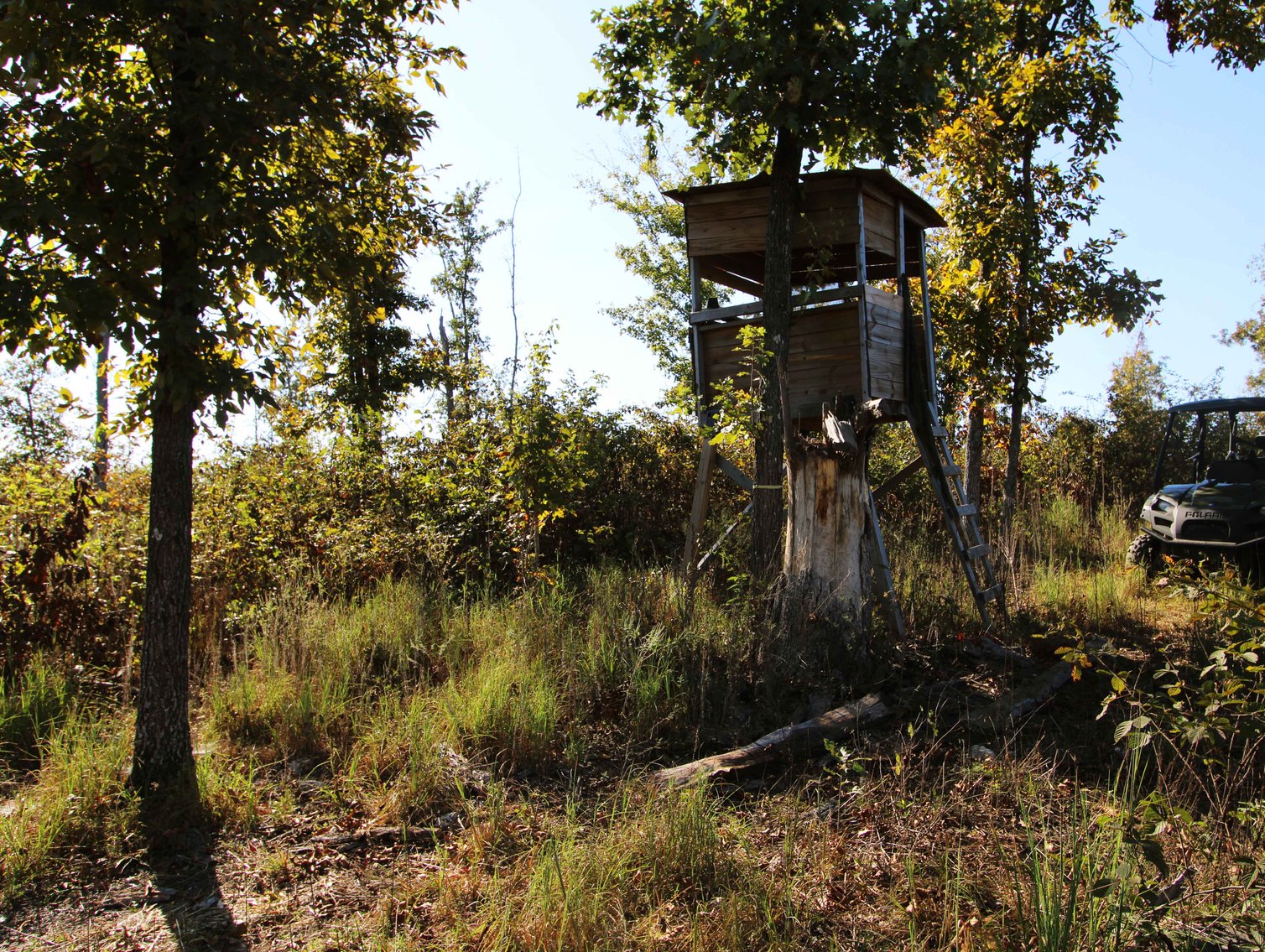 Image for 117.8 Acres +/-, Off Hwy F, Annapolis MO 63620, MLS # 25070582