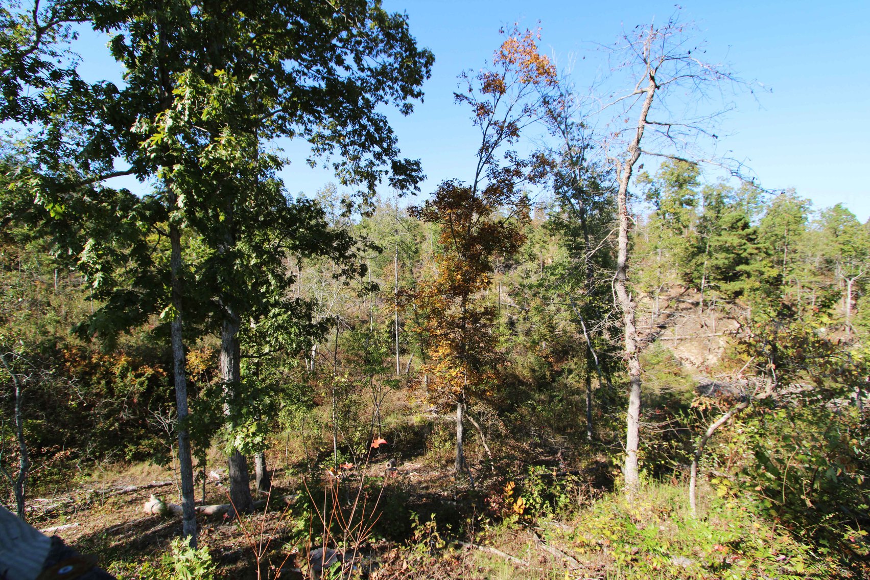 Image for 117.8 Acres +/-, Off Hwy F, Annapolis MO 63620, MLS # 25070582