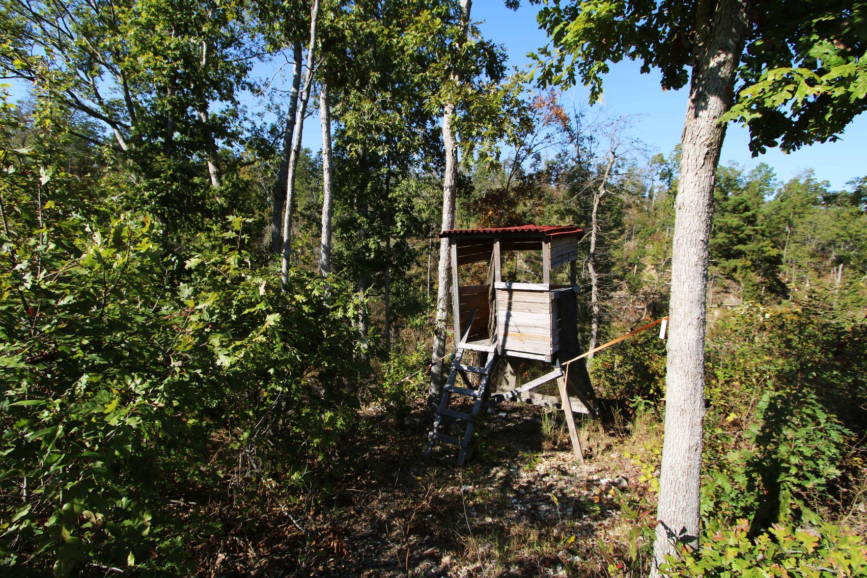 Image for 117.8 Acres +/-, Off Hwy F, Annapolis MO 63620, MLS # 25070582