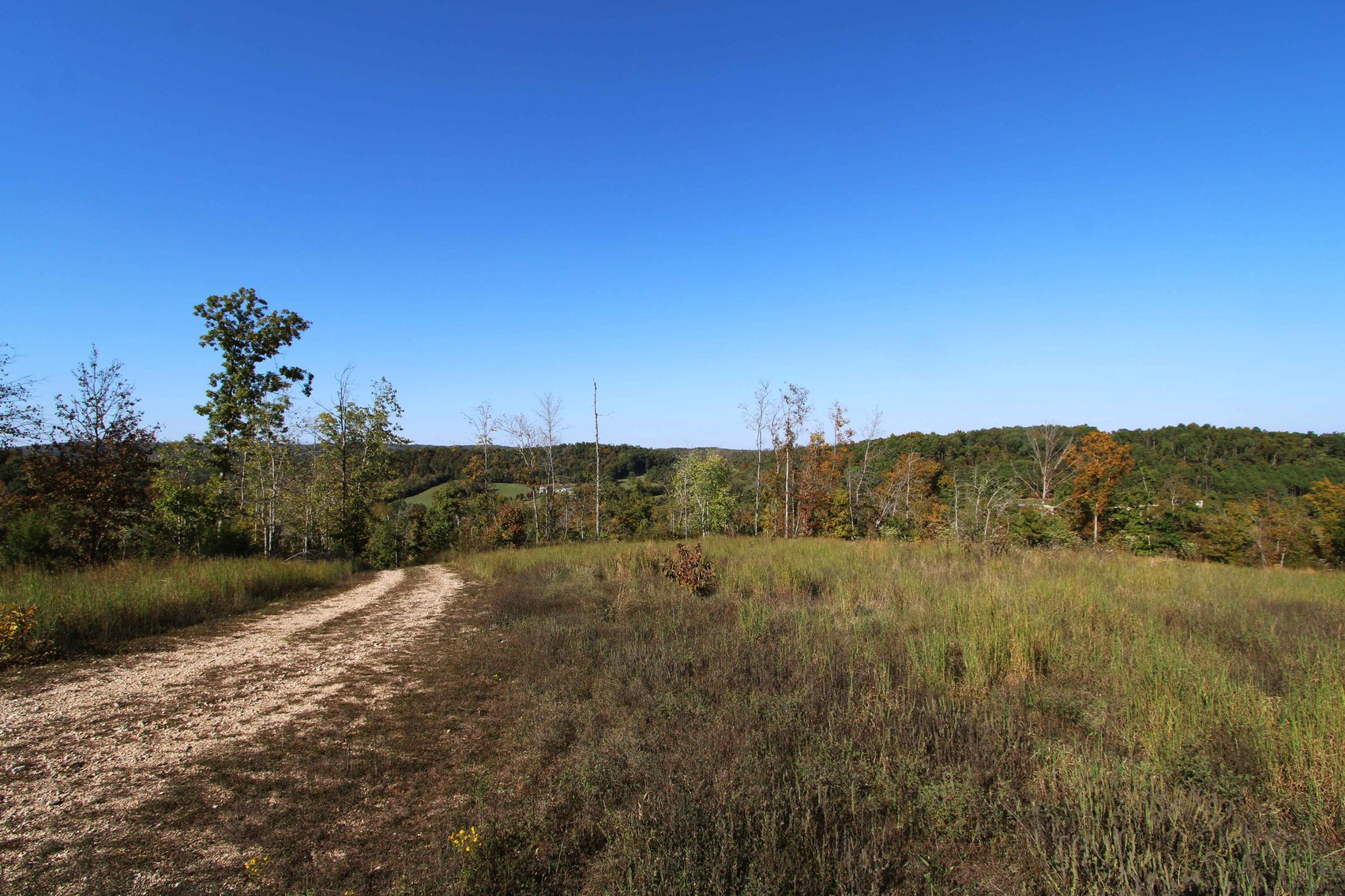 Image for 117.8 Acres +/-, Off Hwy F, Annapolis MO 63620, MLS # 25070582