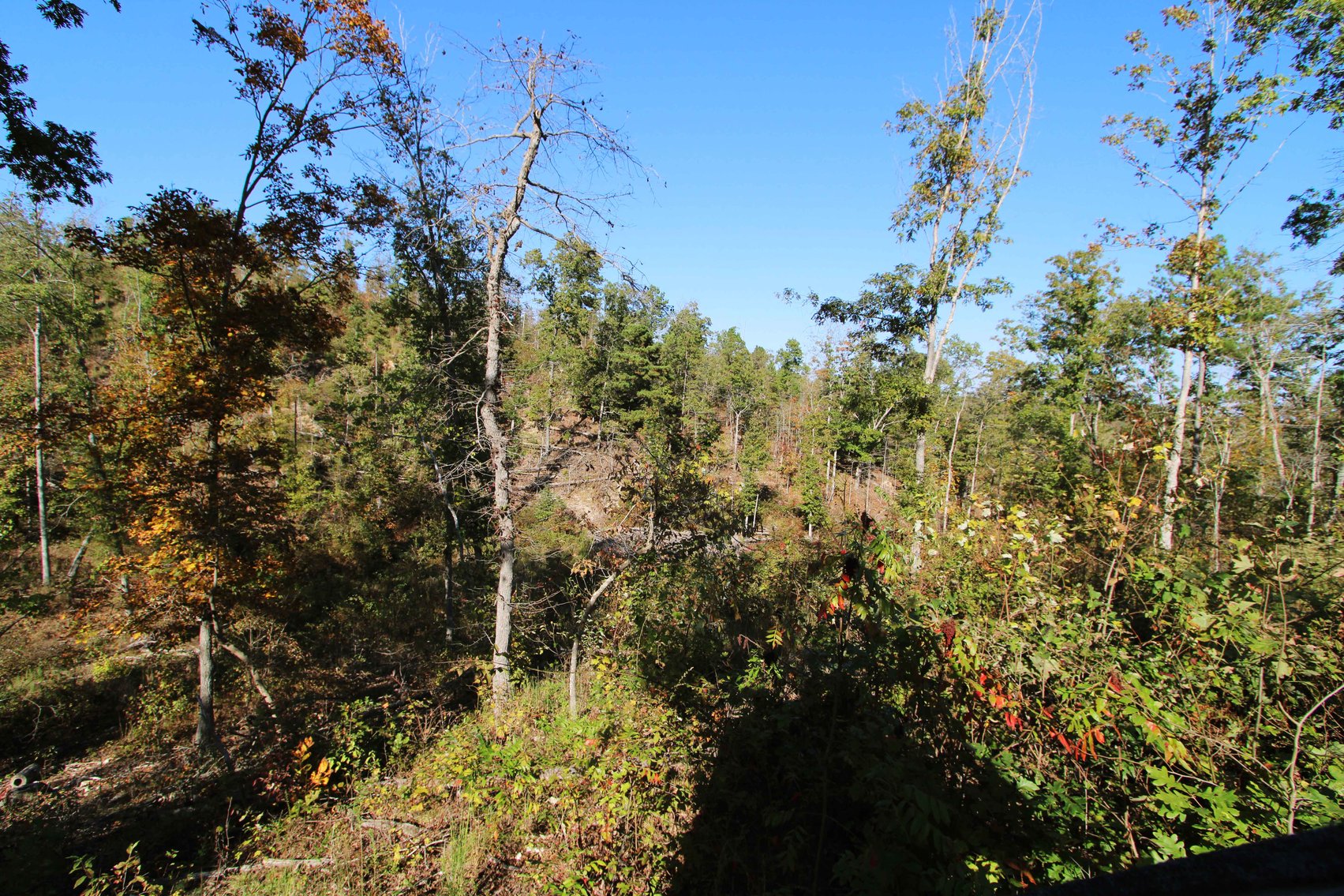 Image for 117.8 Acres +/-, Off Hwy F, Annapolis MO 63620, MLS # 25070582