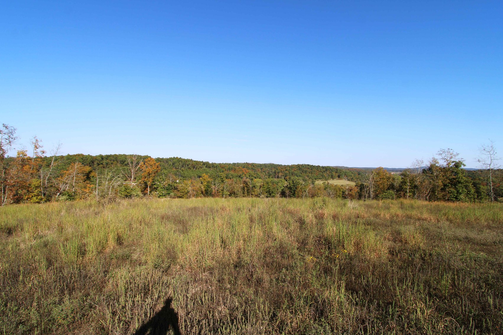 Image for 117.8 Acres +/-, Off Hwy F, Annapolis MO 63620, MLS # 25070582