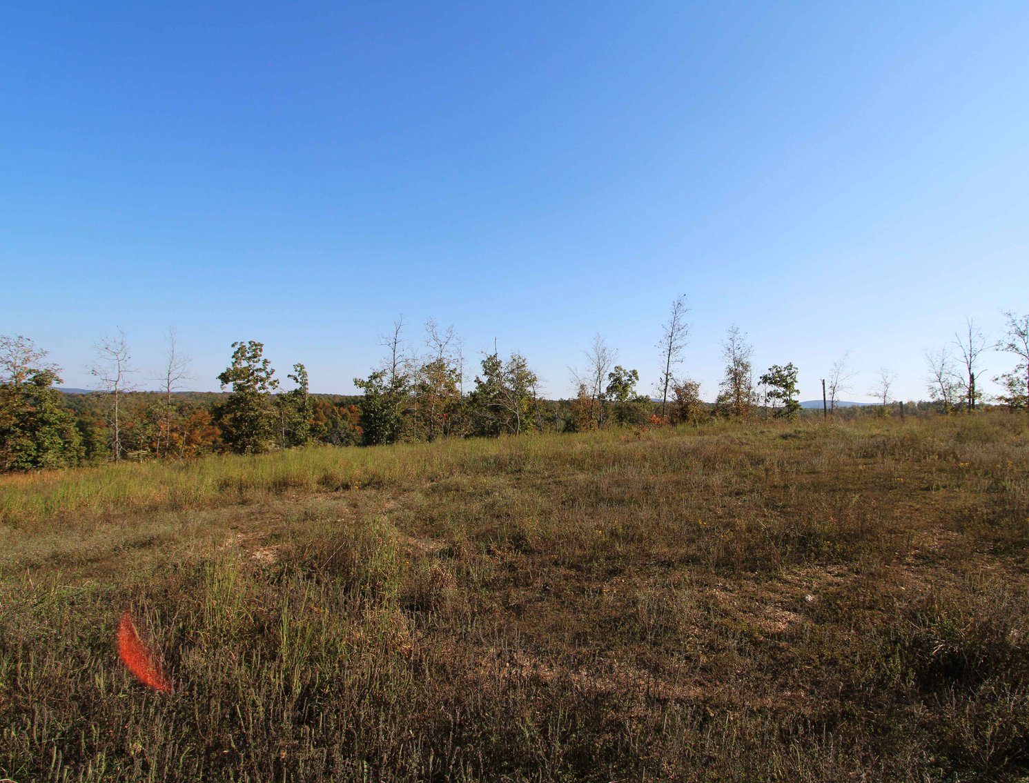 Image for 117.8 Acres +/-, Off Hwy F, Annapolis MO 63620, MLS # 25070582