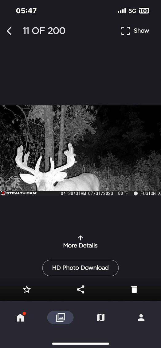 Image for 117.8 Acres +/-, Off Hwy F, Annapolis MO 63620, MLS # 25070582