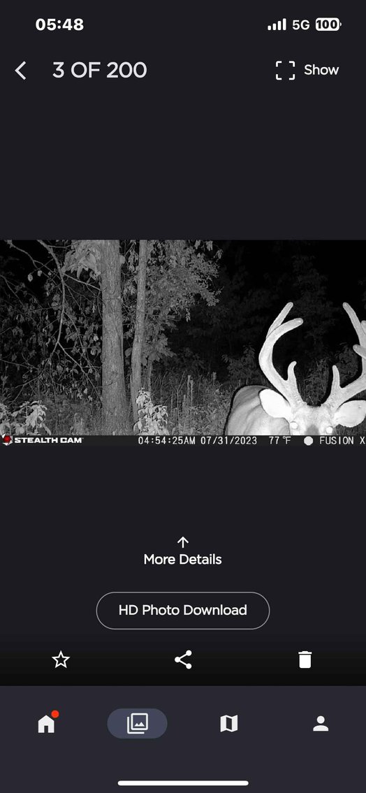 Image for 117.8 Acres +/-, Off Hwy F, Annapolis MO 63620, MLS # 25070582