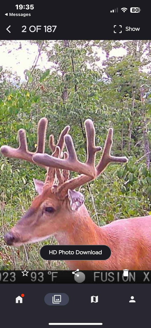 Image for 117.8 Acres +/-, Off Hwy F, Annapolis MO 63620, MLS # 25070582