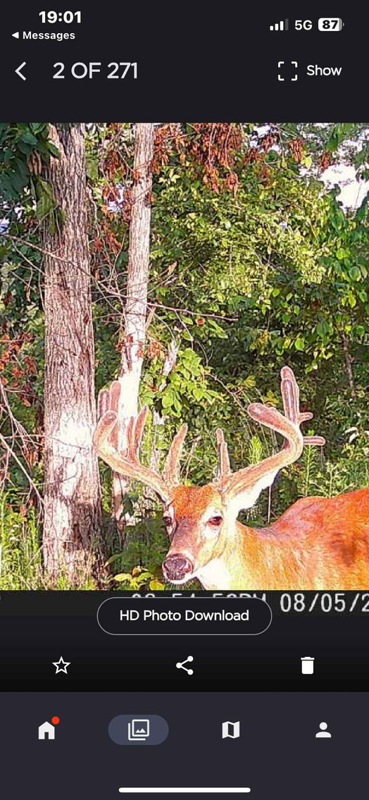 Image for 117.8 Acres +/-, Off Hwy F, Annapolis MO 63620, MLS # 25070582