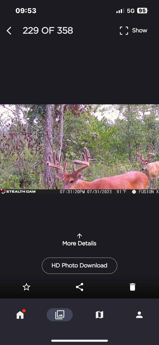 Image for 117.8 Acres +/-, Off Hwy F, Annapolis MO 63620, MLS # 25070582