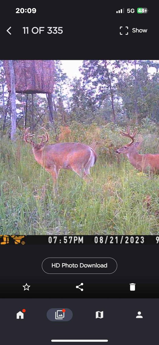 Image for 117.8 Acres +/-, Off Hwy F, Annapolis MO 63620, MLS # 25070582