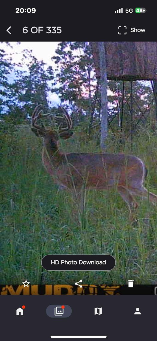 Image for 117.8 Acres +/-, Off Hwy F, Annapolis MO 63620, MLS # 25070582