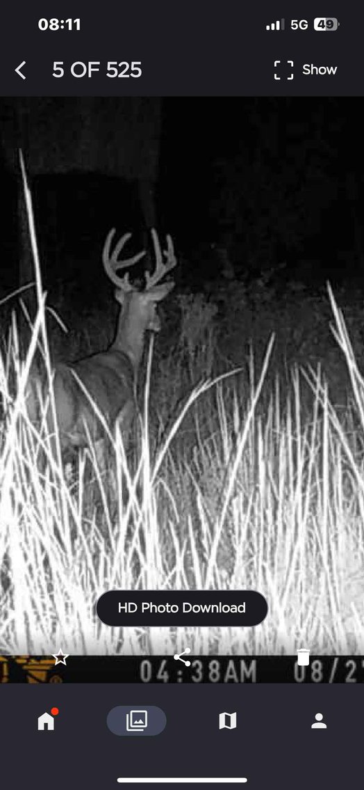 Image for 117.8 Acres +/-, Off Hwy F, Annapolis MO 63620, MLS # 25070582