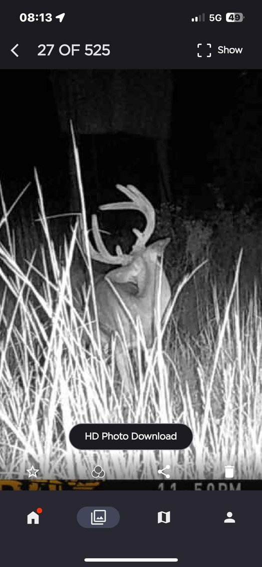 Image for 117.8 Acres +/-, Off Hwy F, Annapolis MO 63620, MLS # 25070582