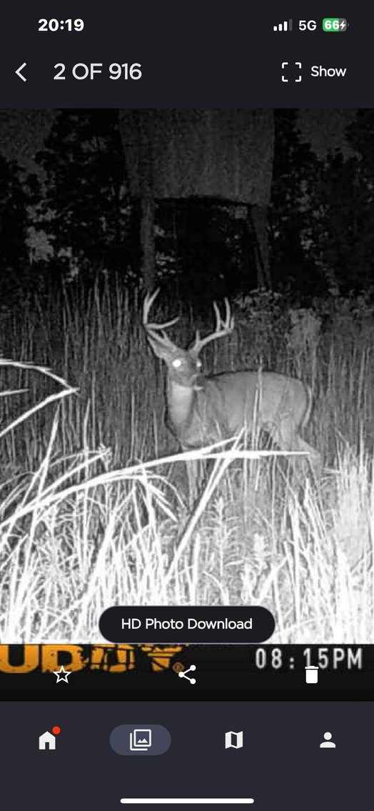 Image for 117.8 Acres +/-, Off Hwy F, Annapolis MO 63620, MLS # 25070582