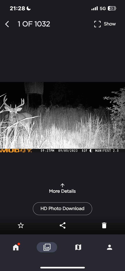 Image for 117.8 Acres +/-, Off Hwy F, Annapolis MO 63620, MLS # 25070582