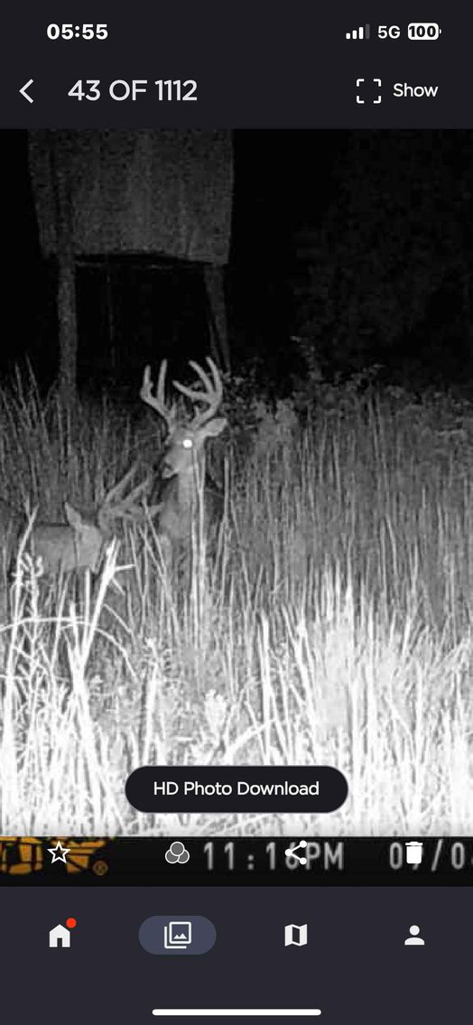 Image for 117.8 Acres +/-, Off Hwy F, Annapolis MO 63620, MLS # 25070582