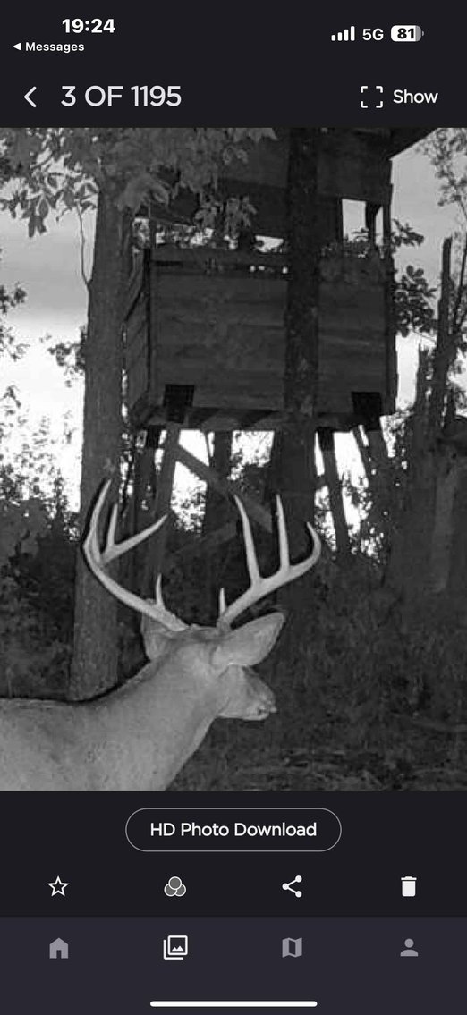 Image for 117.8 Acres +/-, Off Hwy F, Annapolis MO 63620, MLS # 25070582