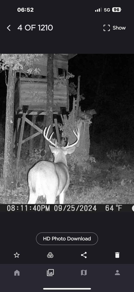 Image for 117.8 Acres +/-, Off Hwy F, Annapolis MO 63620, MLS # 25070582