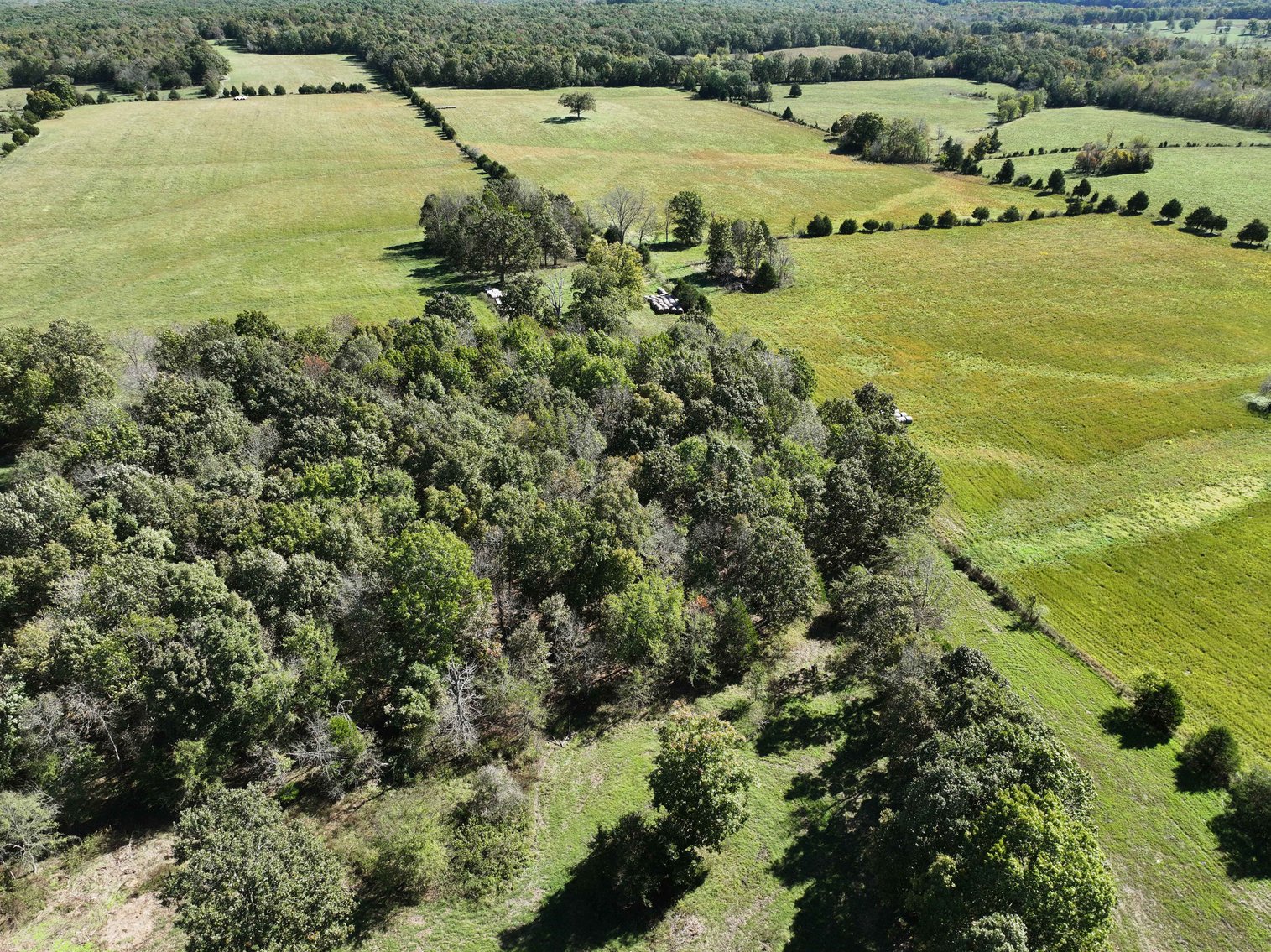 Image for 174.01 Ac +/-, Off Hwy DD, Glen Allen MO 63655, MLS# 25071597