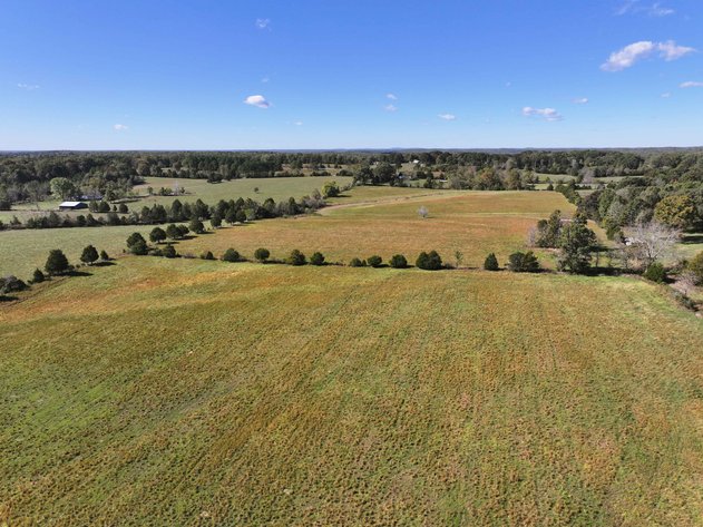 Image for 174.01 Ac +/-, Off Hwy DD, Glen Allen MO 63655, MLS# 25071597