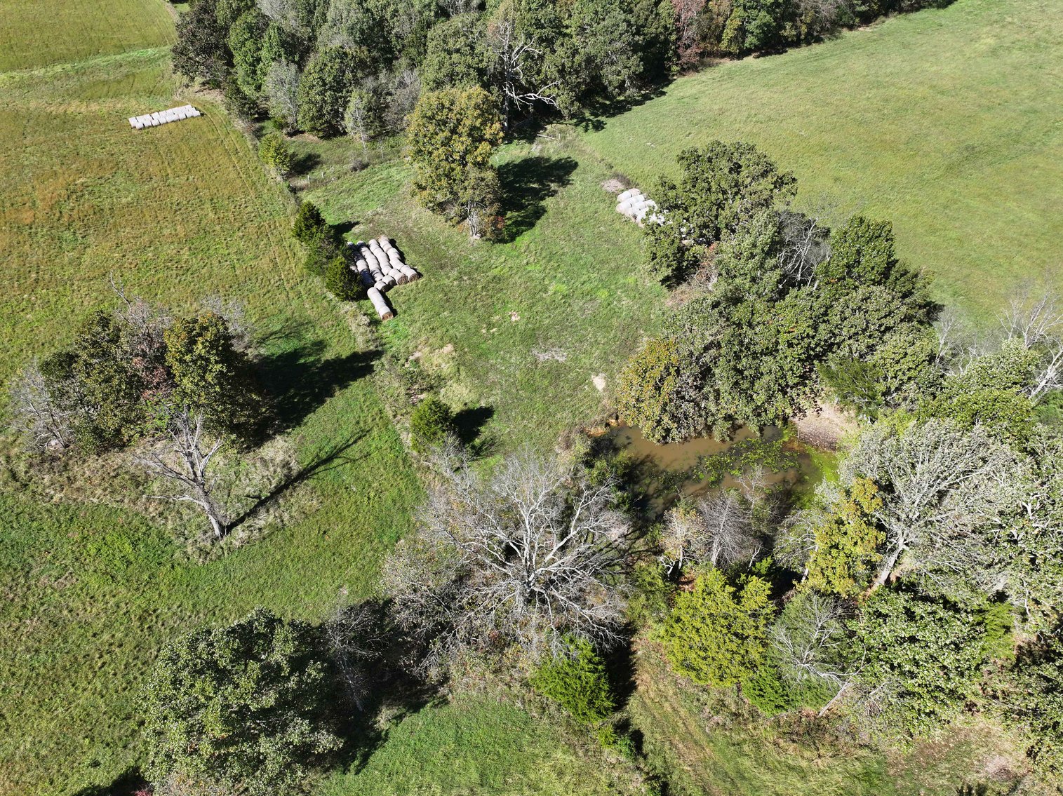 Image for 174.01 Ac +/-, Off Hwy DD, Glen Allen MO 63655, MLS# 25071597