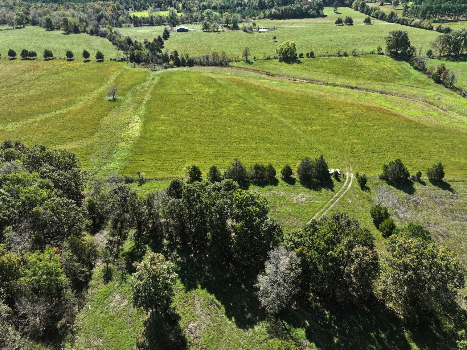 Image for 174.01 Ac +/-, Off Hwy DD, Glen Allen MO 63655, MLS# 25071597