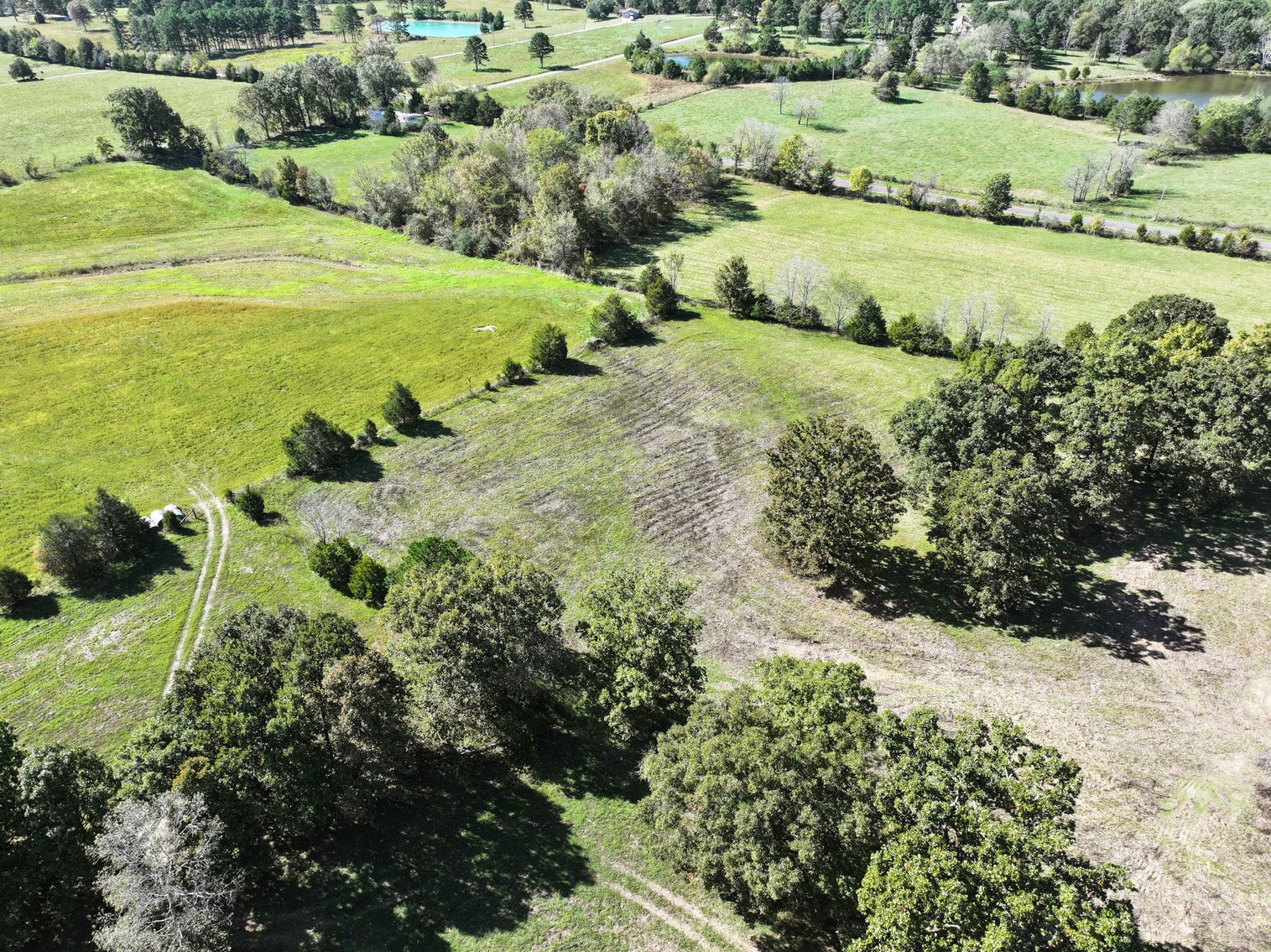 Image for 174.01 Ac +/-, Off Hwy DD, Glen Allen MO 63655, MLS# 25071597