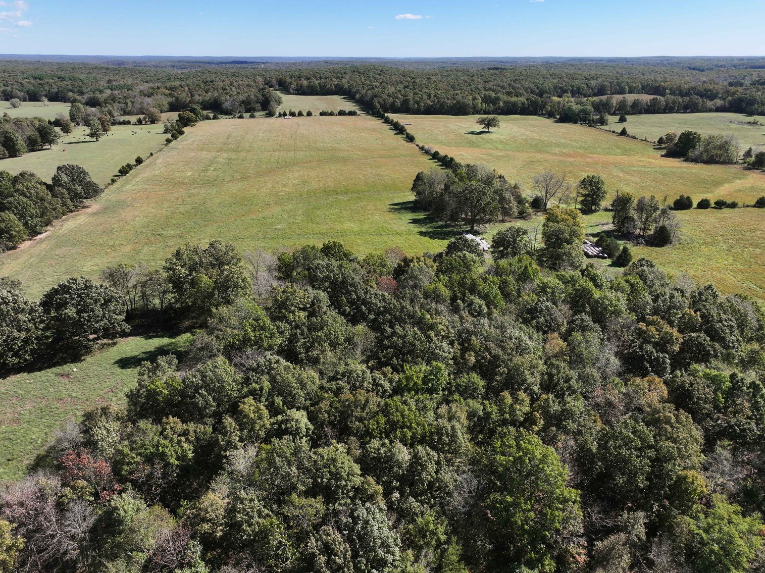 Image for 174.01 Ac +/-, Off Hwy DD, Glen Allen MO 63655, MLS# 25071597